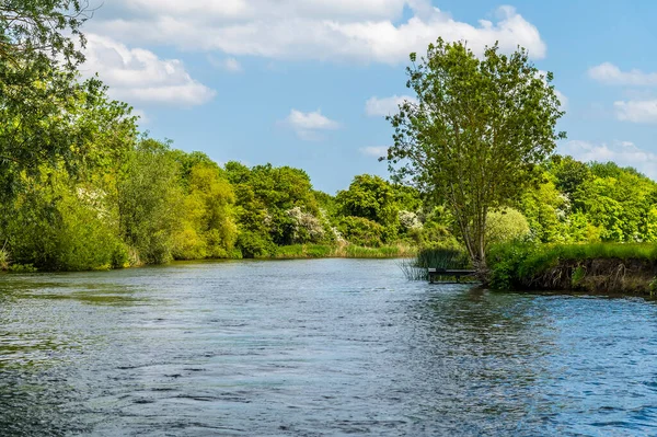 Pohled Řeku Great Ouse Která Létě Blíží Ives Cambridgeshire — Stock fotografie