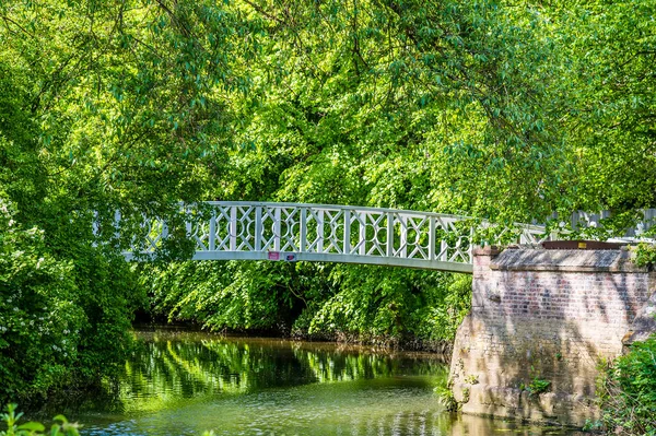 Pohled Most Přes Přítok Řeky Great Ouse Ives Cambridgeshire Létě — Stock fotografie