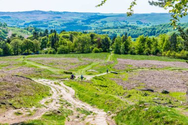 Yazın İngiltere 'nin Peak District bölgesindeki Stanage Edge' e giden yolun aşağısında.