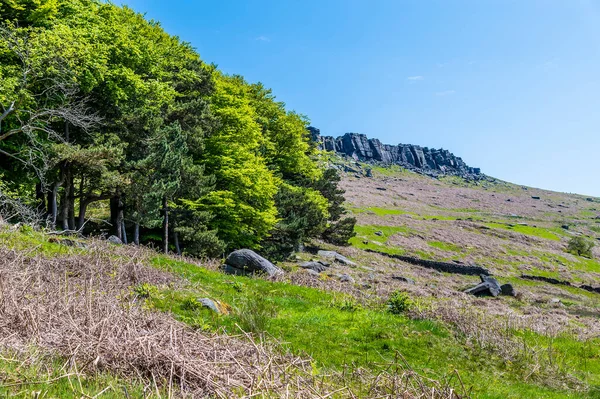 Yazın İngiltere 'nin Peak District bölgesindeki Stanage Edge' e doğru ağaçların arasından bir manzara