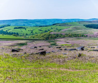 İngiltere 'nin Peak District bölgesindeki Stanage Edge' in son tırmanışına giden yamaçlara bakan bir manzara.