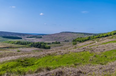 Yazın İngiltere 'nin Peak District bölgesindeki Stanage Edge yamacının en yüksek kısmının altındaki vadi boyunca bir manzara.