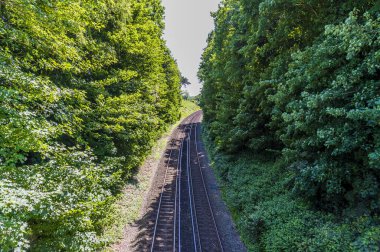 Yaz mevsiminde Hamble nehrinin yanındaki demiryolu hattı boyunca batıya bakan bir manzara.