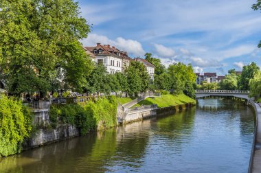 Slovenya 'nın Ljubljanica kentindeki Yeni Meydan' dan yaz mevsiminde Ljubljanica nehrinin aşağısına doğru bir manzara