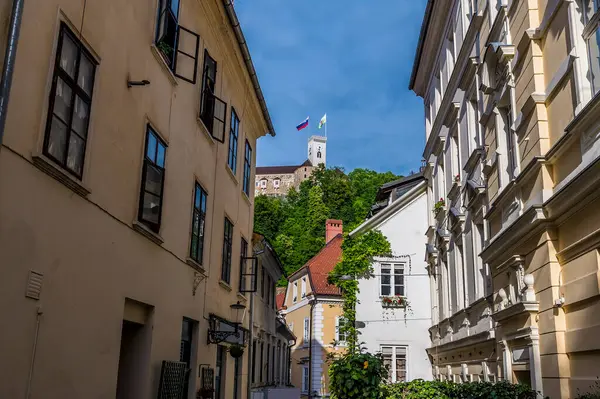 Une Vue Sur Une Ruelle Tranquille Vers Château Ljubljana Slovénie — Photo
