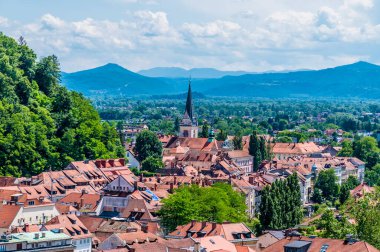 Slovenya 'nın Ljubljana kentindeki şato tepesinin eteklerindeki çatılara bakan bir manzara