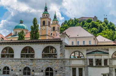 Ljubljanica Nehri 'nin sağ kıyısına ve Slovenya' nın Ljubljana kentindeki katedrale bakan bir manzara