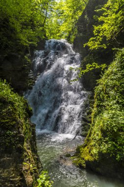 Slovenya 'nın Besnica kenti yakınlarındaki Sava nehrine bağlı bir şelale manzarası