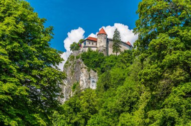 Slovenya 'nın Bled kentindeki Kale' ye doğru uzanan Göl kıyısından bir manzara