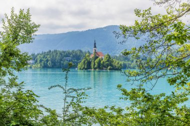 Slovenya 'nın Bled kentindeki gölün karşısındaki ağaçların arasından bir bakış.
