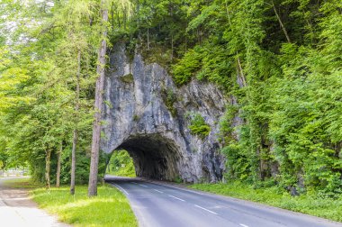 Slovenya 'nın Bled kentinde, Bled Gölü kıyısındaki bir tünele bakan bir manzara