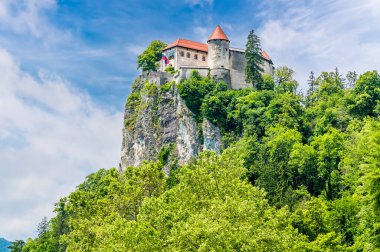 Slovenya 'nın Bled kentindeki şatoya bakan Bled Gölü kıyılarından bir manzara