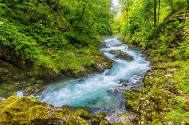 Slovenya 'nın Bled kentindeki şatoya bakan Bled Gölü kıyılarından bir manzara