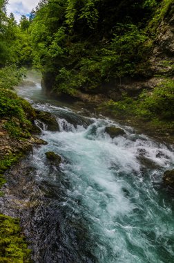 Slovenya 'nın Vintgar Vadisi' nde yazın akan Radovna Nehri manzarası