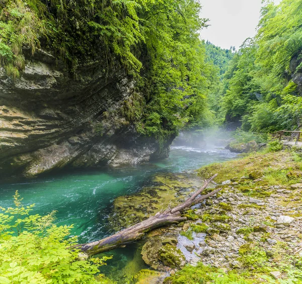 Een Uitzicht Als Radovna Rivier Gooit Mist Vintgar Gorge Slovenië — Stockfoto