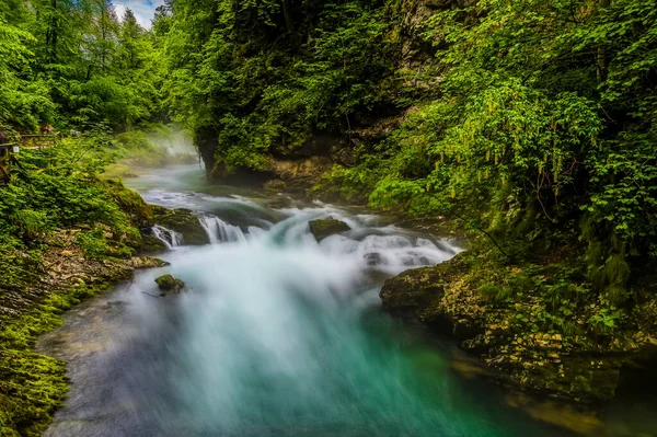 Slovenya 'nın Vintgar Vadisi' nde yaz mevsiminde akan Radovna Nehri 'nin uzun süreli görüntüsü