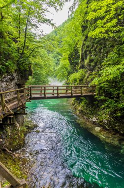 Slovenya 'daki Vintgar Vadisi' nin dar kesiminde Radovna Nehri üzerinde bir köprü manzarası