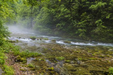 Slovenya 'nın Vintgar Vadisi' ndeki Radovna Nehri 'ndeki akıntılardan sonra bir manzara
