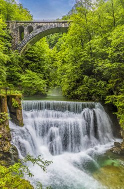 Slovenya 'nın Vintgar Vadisi' ndeki Radovna Nehri 'ne doğru uzanan uzun bir manzara ve bir demiryolu köprüsü