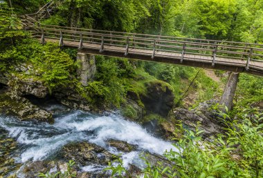 Slovenya 'nın Vintgar Vadisi' nin sonundaki Radovna Nehri 'ne bir manzara düşüyor