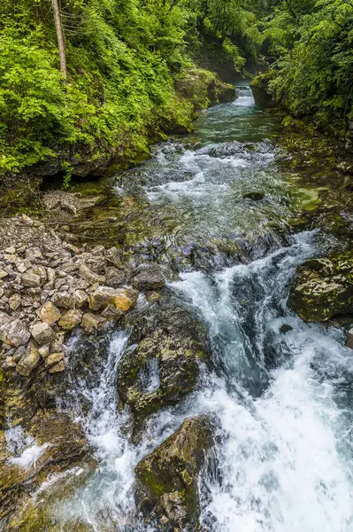 View Radovna River Falls End Vintgar Gorge Slovenia Summertime — Stock Photo, Image