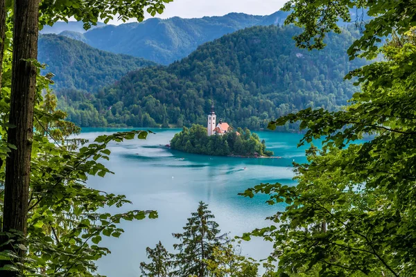 View Trees Base Castle Island Lake Bled Slovenia Summertime — Stock Photo, Image