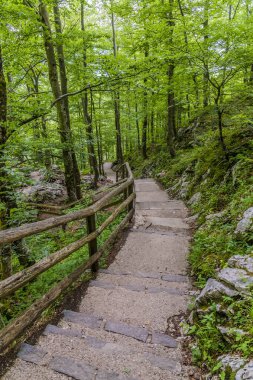 Slovenya 'nın Bohinj gölünün yukarısındaki Savica şelalesinden aşağı bakan bir manzara
