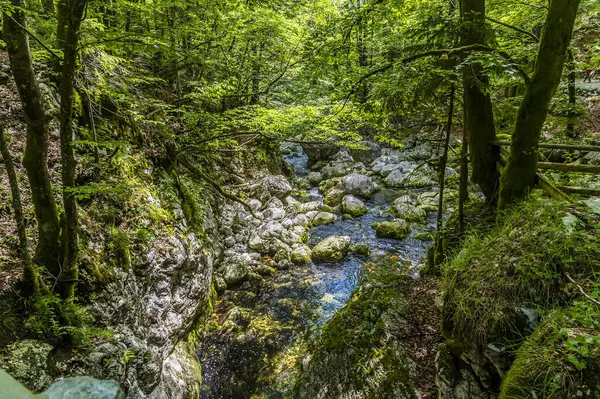 Blick Auf Das Felsige Flussbett Vom Savica Wasserfall Der Sommer — Stockfoto
