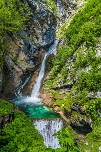 Вид Крупним Планом Водоспад Савіца Над Озером Бохінь Словенія Влітку — стокове фото