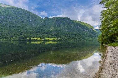 Slovenya 'nın Bohinj gölünün güney kıyısı boyunca yaz mevsiminde bir manzara