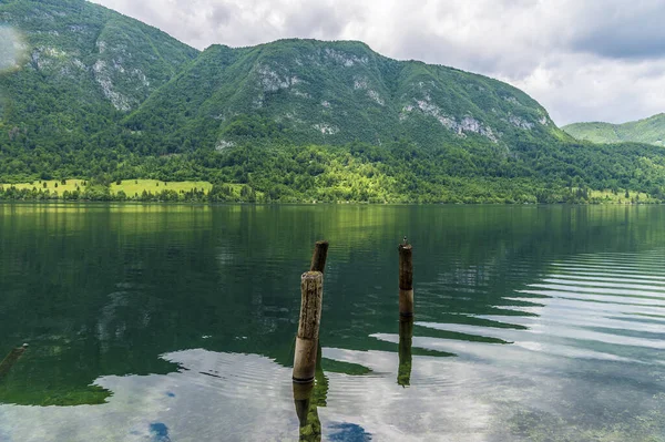 Тихий Вид Берега Озера Бохінь Словенія Літній Час — стокове фото