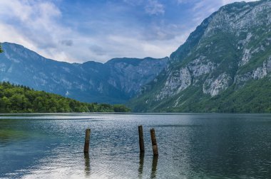 Slovenya 'nın Bohinj gölünün batı kıyısına bakan bir manzara