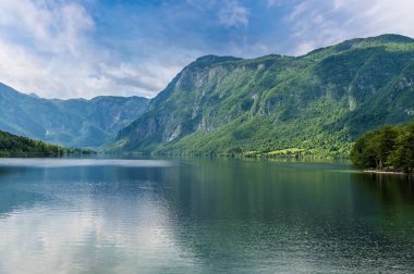 Slovenya 'nın Bohinjsko Jezero kıyısından Bohinj Gölü' nün batı kıyısına doğru bir manzara