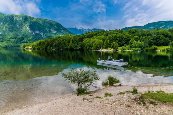 Pohled Východní Konec Jezera Bohinj Bohinjsko Jezero Slovinsko Létě Royalty Free Stock Obrázky