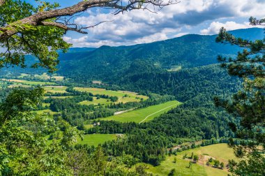 Slovenya, Bled Gölü etrafındaki yamaçtan güneye bakan bir manzara