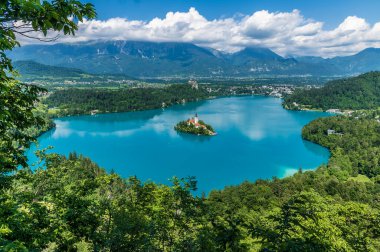 Slovenya 'nın Mala Osojnica kentinin yaz mevsiminde Bled Gölü üzerindeki manzarasından çerçevelenmiş bir ağaç