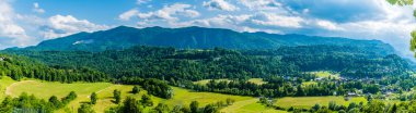 Slovenya 'nın Radovljica kentinin kırsal kesiminde yaz mevsiminde bir manzara