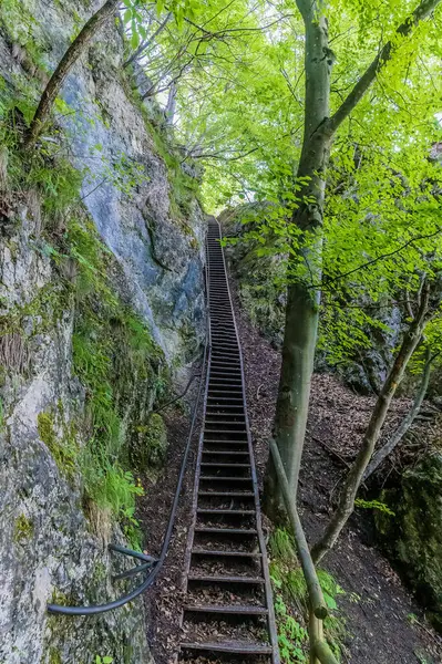 stock image A view up metal steps leading to the Mala Osojnica viewpoint above Lake Bled, Slovenia in summertime