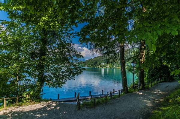 Widok Ścieżki Brzegu Wyspy Bled Bled Słowenia Okresie Letnim — Zdjęcie stockowe