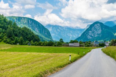 Yazın Slovenya 'da Bohinj Gölü' ne yaklaşan bir dağ köyü manzarası