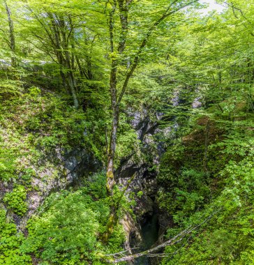 Slovenya 'da yaz aylarında Bohinj Gölü yakınlarındaki Mostnica vadisine bir manzara
