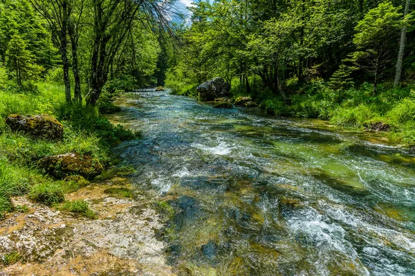 Pohled Dolní Části Řeky Mostnice Blízkosti Jezera Bohinj Slovinsku Létě — Stock fotografie