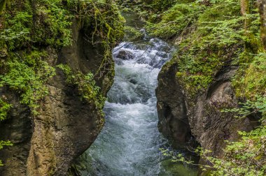 Mostnica nehrinin Slovenya 'daki Bohinj Gölü' ne yakın Mostnica vadisinde akan akıntıya bakış açısı