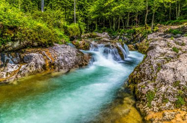 Slovenya 'da Bohinj Gölü yakınlarındaki Mostnica vadisindeki Mostnica nehrindeki akıntıların uzun süreli görüntüsü