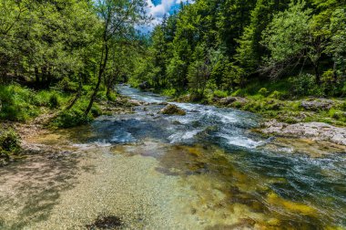 Slovenya 'daki Bohinj Gölü yakınlarındaki Mostnica vadisindeki Mostnica nehrindeki akıntıların manzarası