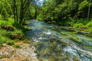 Slovenya 'daki Bohinj Gölü yakınlarındaki Mostnica vadisinde meydana gelen akıntılardan sonra Mostnica nehrinin manzarası