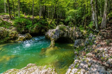 Slovenya 'nın Mostnica vadisindeki Mostnica nehrinde yaz mevsiminde fil şeklinde bir kaya manzarası
