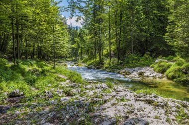 Slovenya 'nın Mostnica vadisinde yaz mevsiminde Mostnica nehrinin kayalık bir bölümünün manzarası