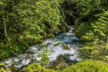 Slovenya 'nın Mostnica vadisinde yaz mevsiminde Mostnica nehrinin yukarısından bir manzara