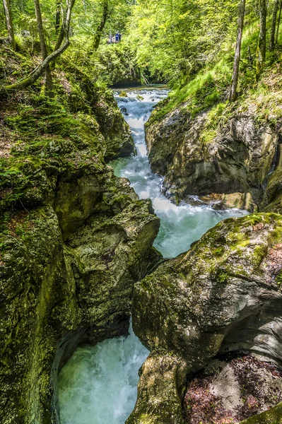Een Lang Zicht Mostnica Rivier Tussen Sporen Mostnica Kloof Slovenië — Stockfoto